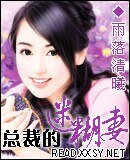 《总裁的迷糊妻》