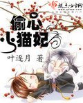 《偷心小猫妃》