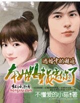 逃婚中的邂逅：本姑娘赖定你了