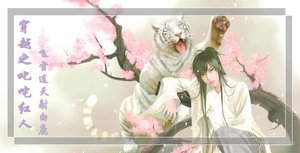 《穿越之叱咤红人(又名:叱咤红人之一横空出世)》