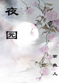 夜园