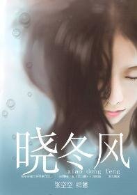 晓冬风（商战）