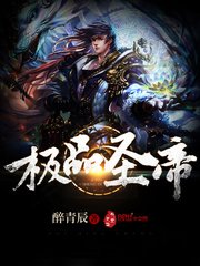 《极品圣帝》