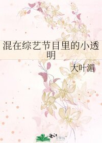 混在综艺节目里的小透明
