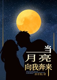 当月亮向我奔来