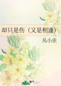 《却只是伤/又是相逢》