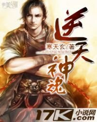 《逆天神魂》