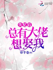 失忆后总有大佬想娶我