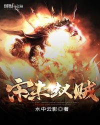 《宋未蚁贼》