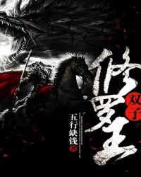 《双子修罗王》