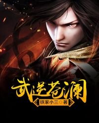 《武逆苍澜》