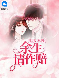 《追妻不晚:余生请作赔夜微雨》