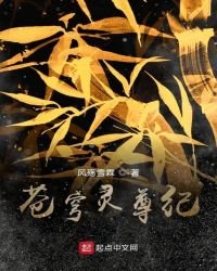 苍穹灵尊纪