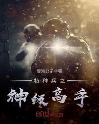 《特种兵之神级高手》