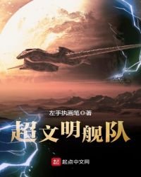 超文明舰队