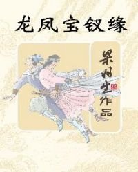 龙凤宝钗缘（简体）