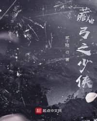 藏弓之少侠