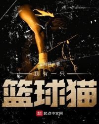 《我有一只篮球猫》