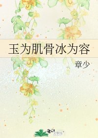 《玉为肌骨冰为容》