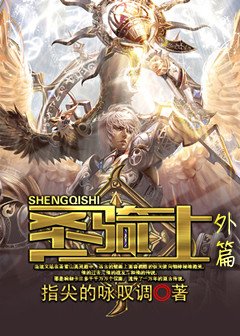 圣骑士外篇
