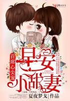 《厉少养妻实录》
