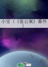 《小宝(《张公案》