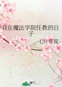 我在魔法学院任教的日子