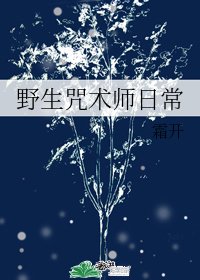（少年漫同人）野生咒术师日常