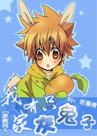 《(BG/家教同人)我家有只灰兔子》