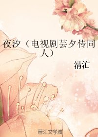 （BG/电视剧芸夕传同人）  夜汐