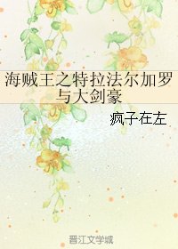 (BG/海贼王同人）海贼王之特拉法尔加罗与大剑豪