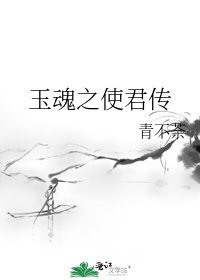 《玉魂之使君传》