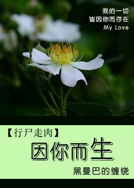 《(BG/行尸走肉同人)因你而生》