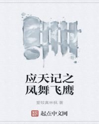 《应天记之凤舞飞鹰》