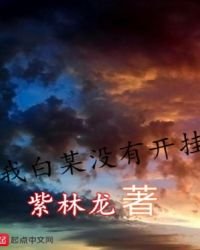 《我白某没有开挂》
