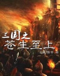 《三国之苍生至上》