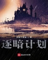 逐暗计划