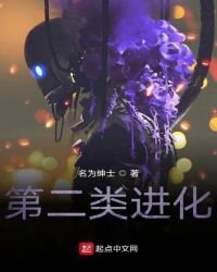 《第二类进化》