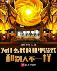 为什么我的机甲游戏和别人不一样