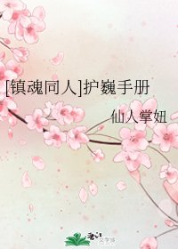 [镇魂同人]护巍手册