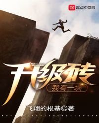 《我有一块升级砖》