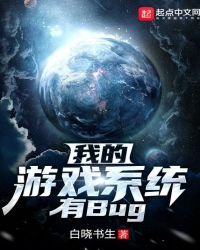 《我的游戏系统有bug》