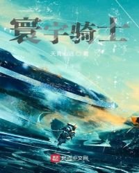 《寰宇骑士》