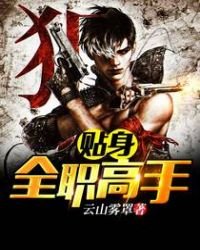 《贴身全职高手》