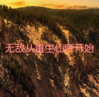 《无敌从重生仙帝开始》