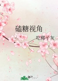 《磕糖视角》