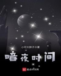 《暗夜时间》