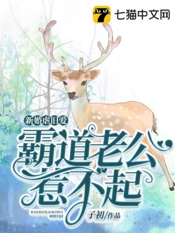 《霸道老公惹不起》