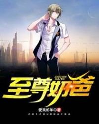 《至尊奶爸》