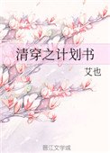 清穿之计划书